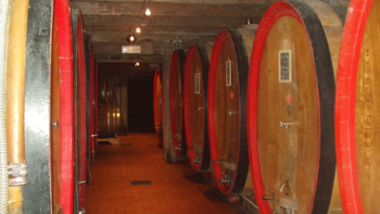 Der Keller des Weingutes Erbaluna in Piemont